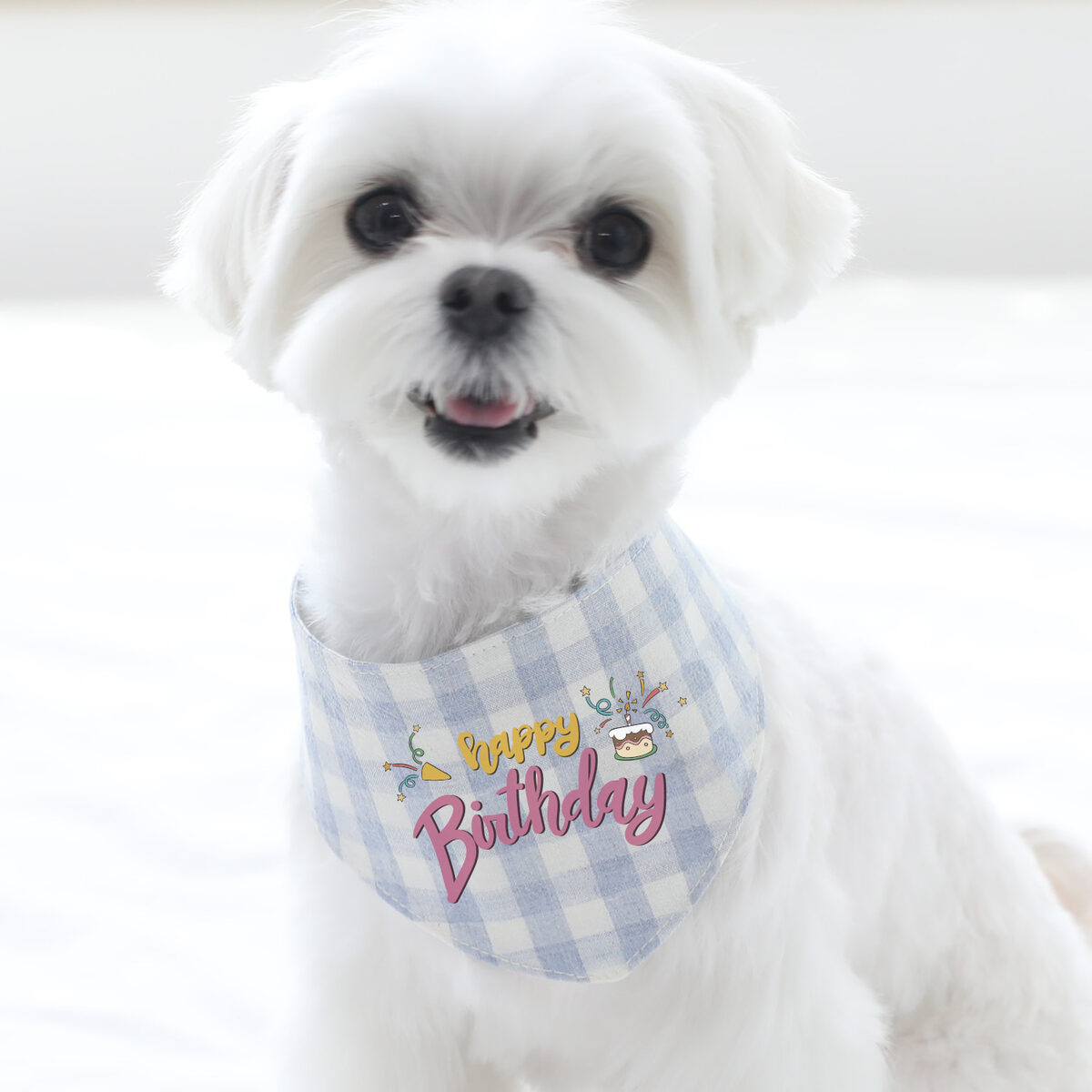 Happy Birthday Scarf 1