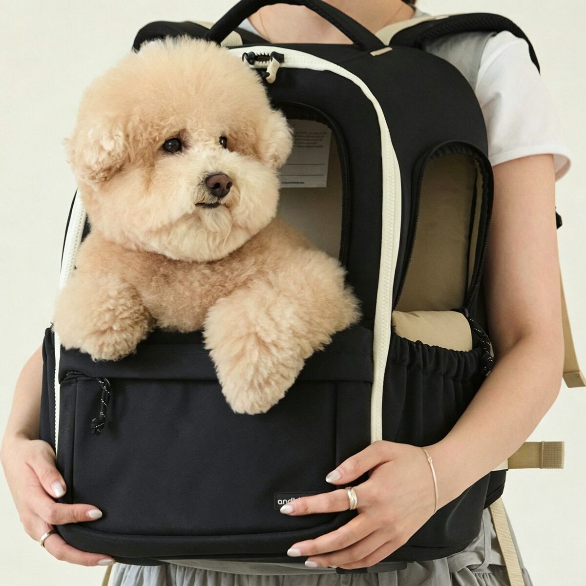 AndBlank Day Pack V3