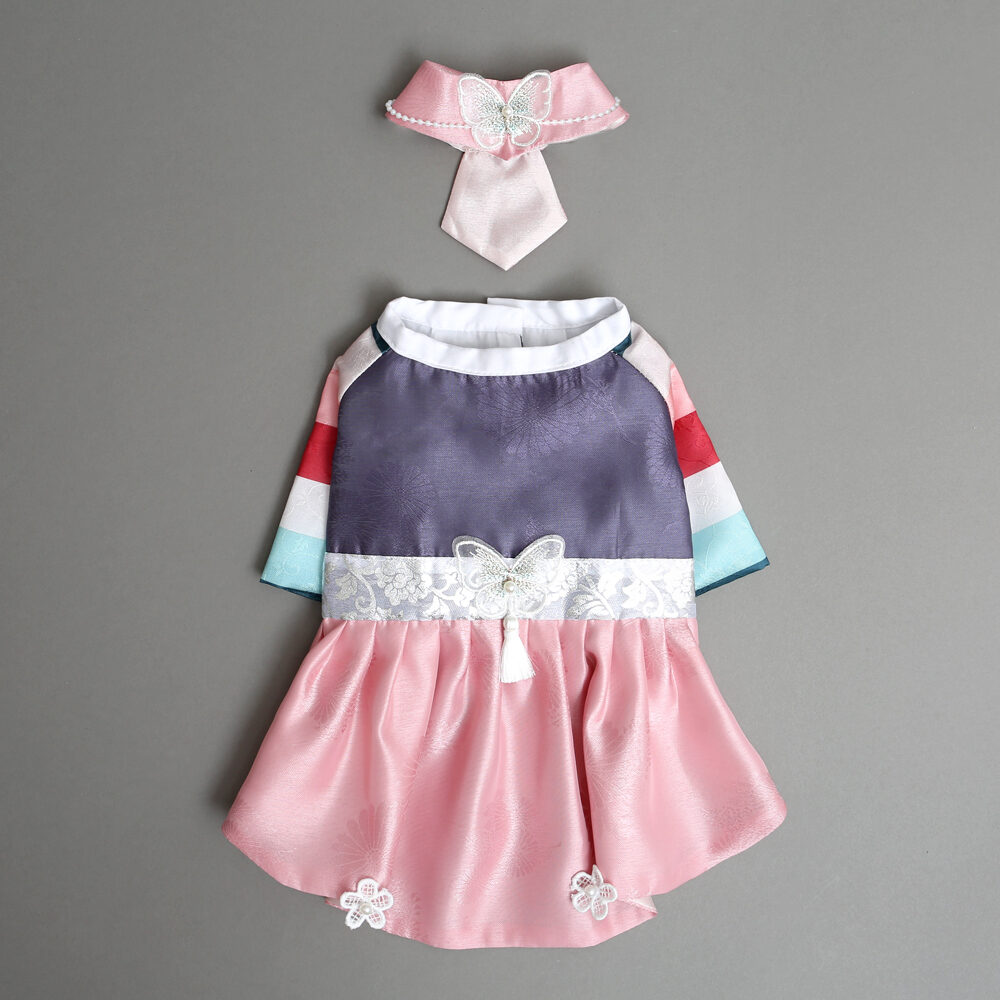 雅昀公主韓國新年服