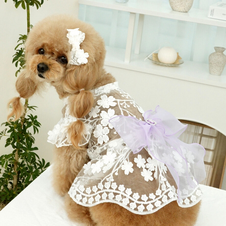 Fairy Dress