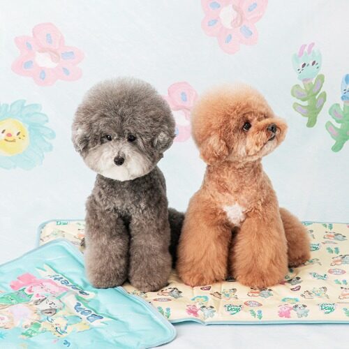 BITE ME X Pokori Friends Cool Mat