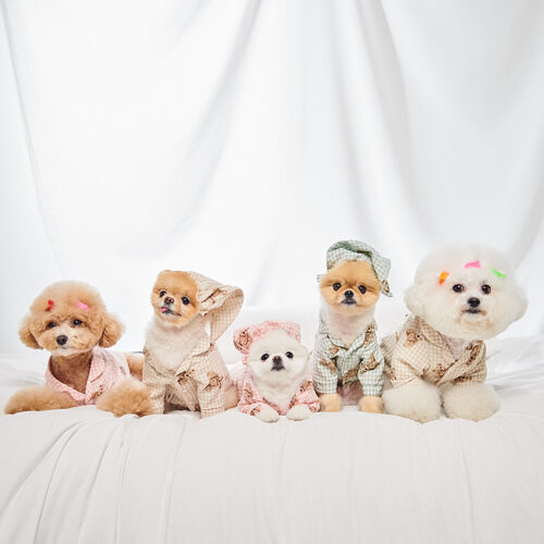 Teddy bear Pajamas