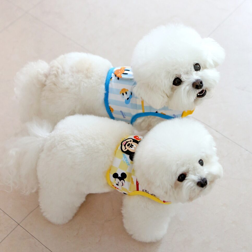 Disney Cool Harness