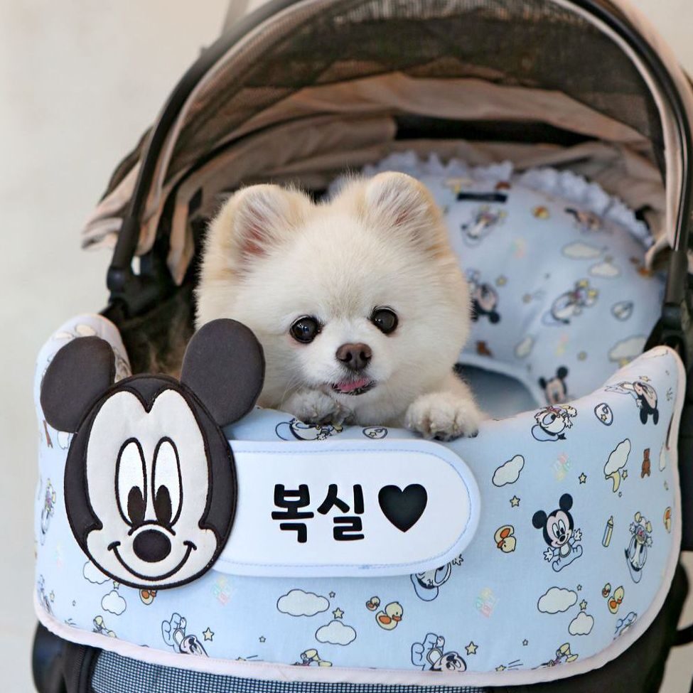 Disney Baby Friends 寵物手推車圍邊保護墊