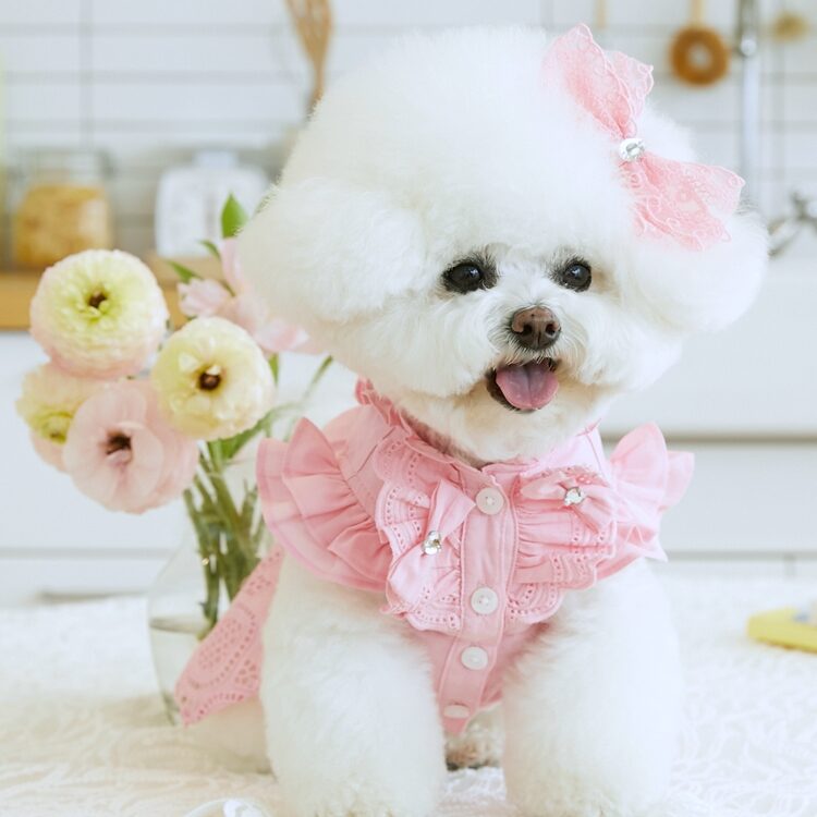 Rosee Dress
