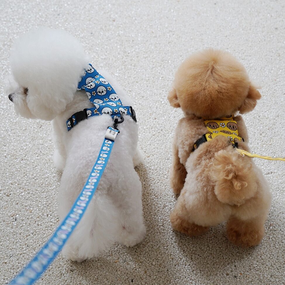 Amitie H-type Harness