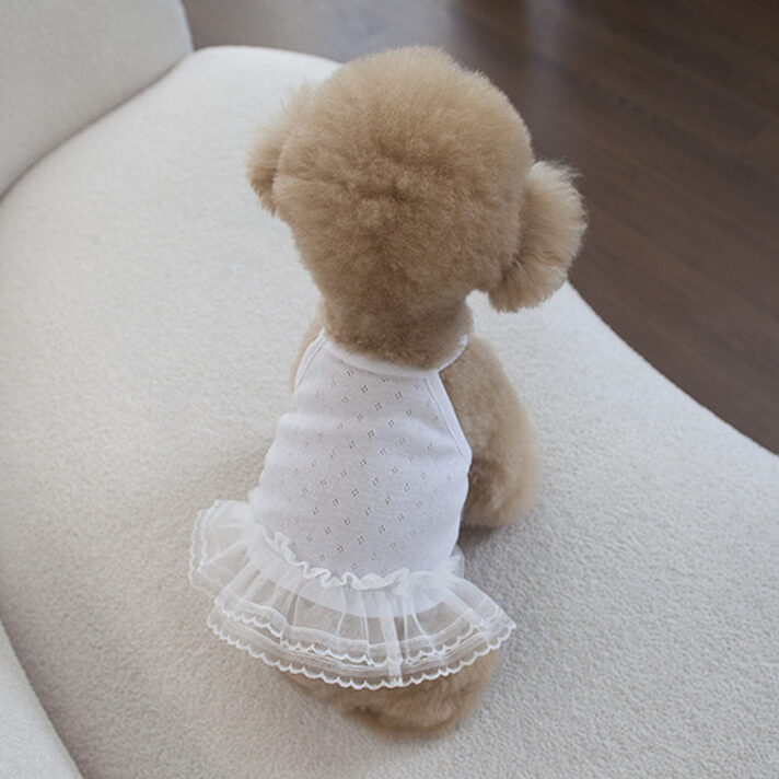 Roche Dress