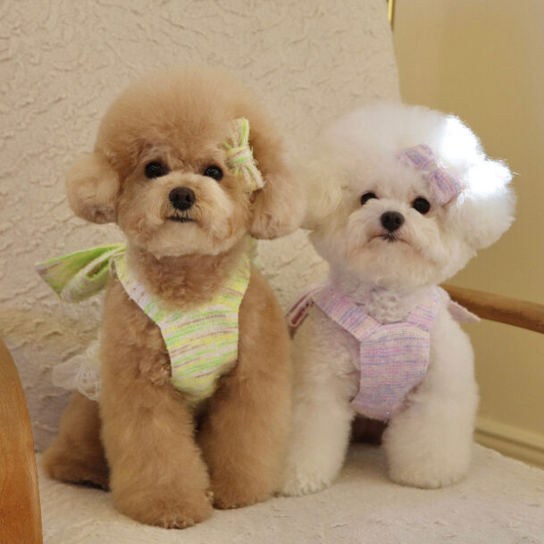 Twinkle Ribbon Top