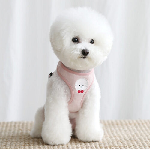 bebe custom harness