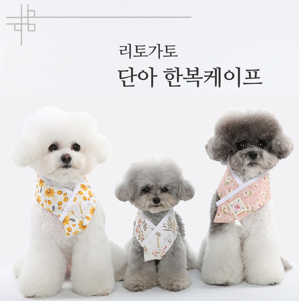 Dana Hanbok Cape