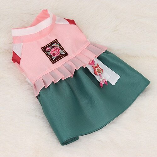 薩納公主韓國新年服