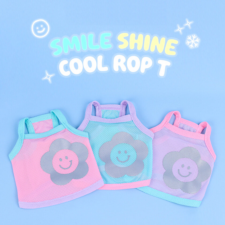 Smile Shine Cool Crop Tee