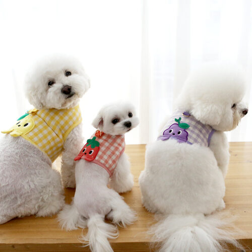 Jam Jam peekaboo harness