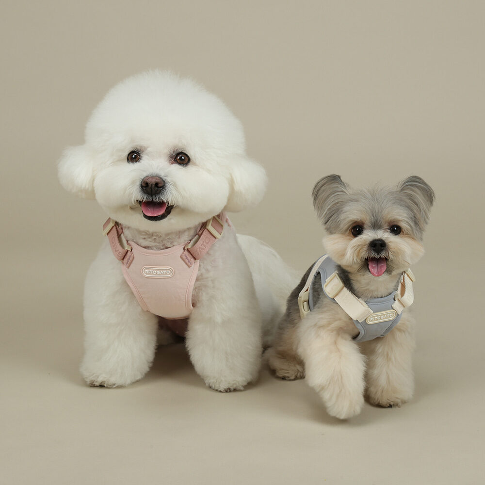 Walkiepet Custom Harness