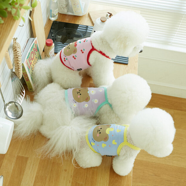 Cutie Bear Crop