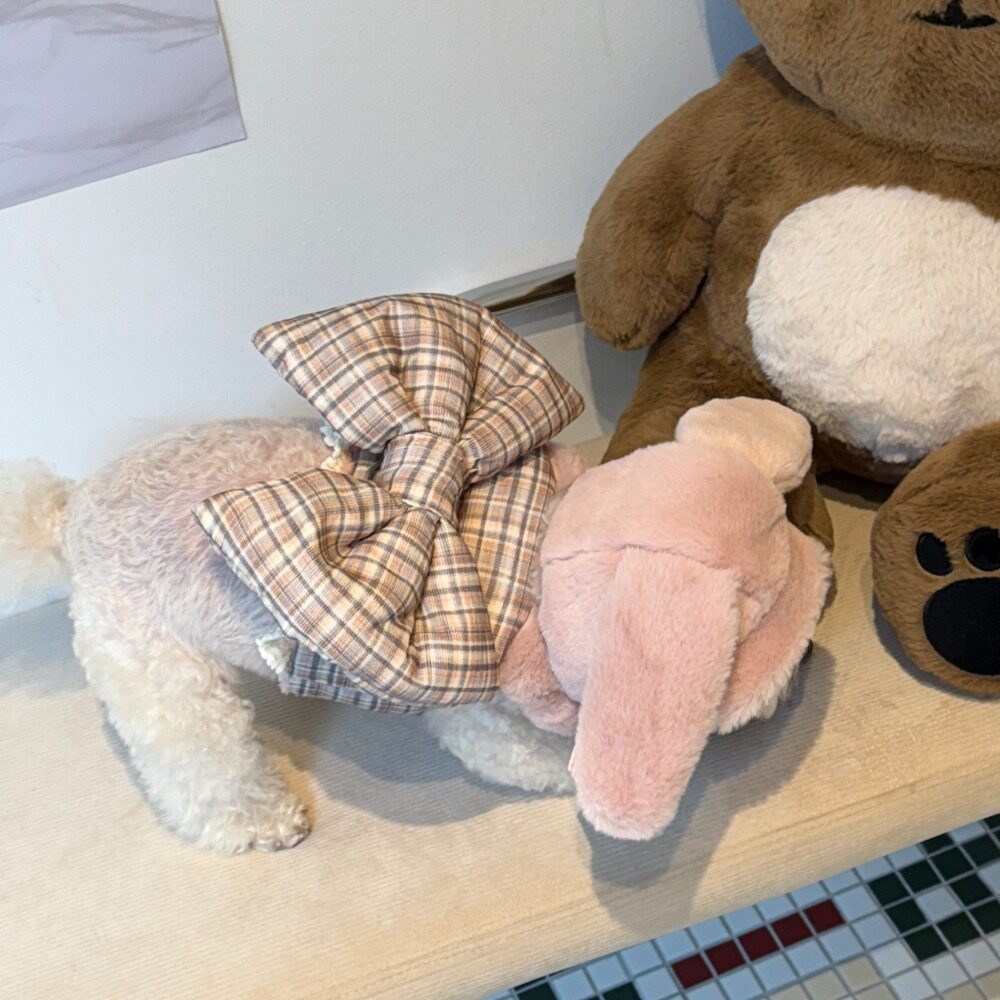 Ribbon Padding Harness (Limited Color)