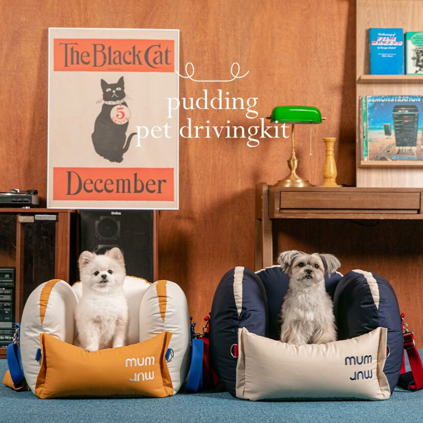 Pudding Pet Driving Kit