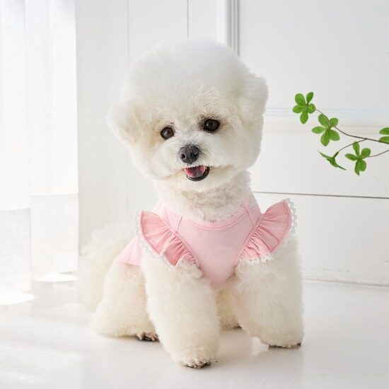 Summer Bebe TS (Pink)