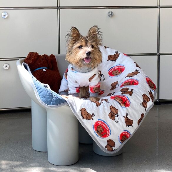 All Time Blanket