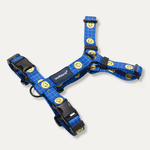 Smile Harness (2 Colors)