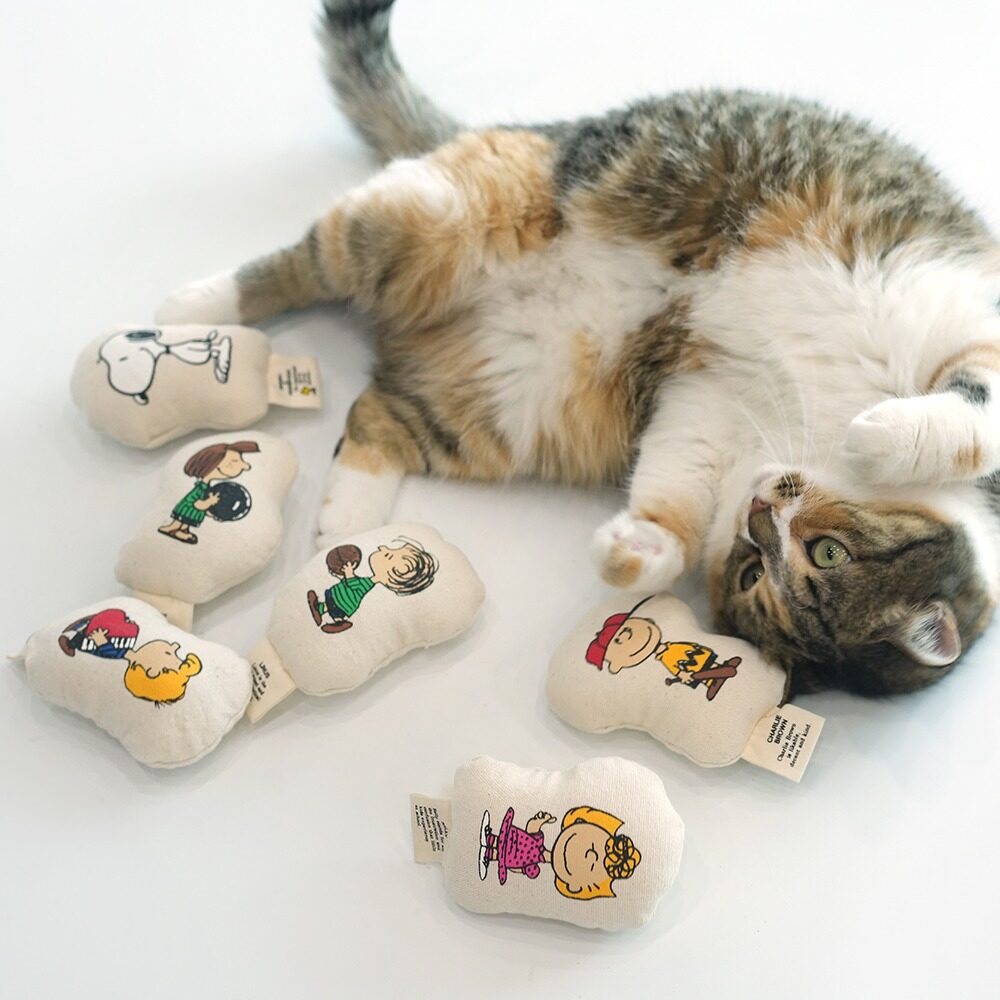Peanuts Cat Toy