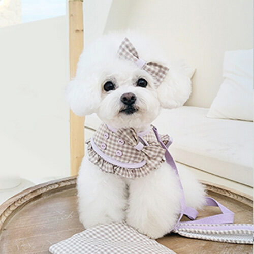 New Frill gelato Harness-Blueberry Cream