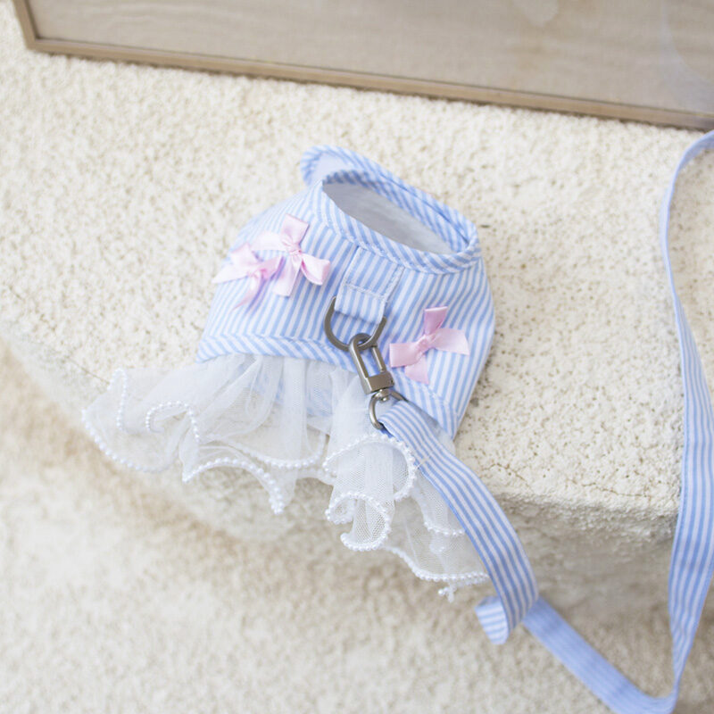 Bian Harness Set