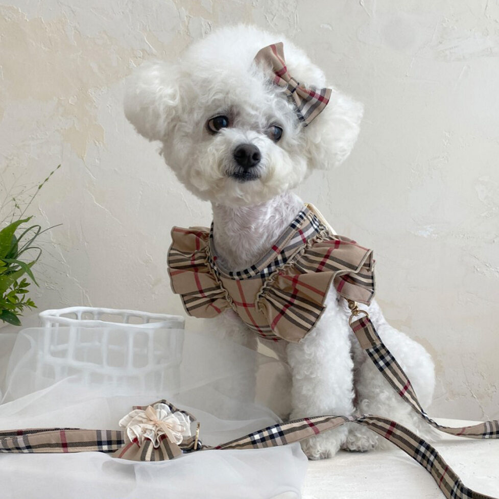 Forever Check Frill Harness