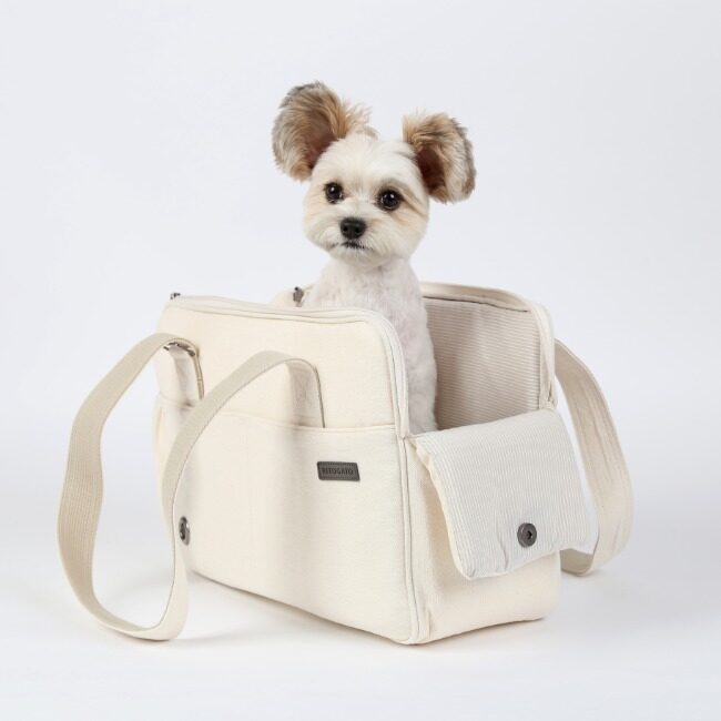 Toto Bag (Upgrade版)
