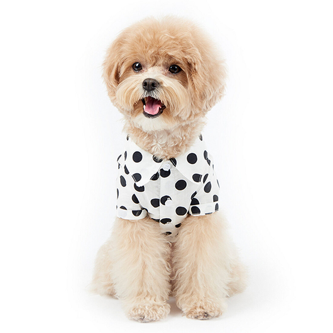 JOY! Polka Dot Shirt
