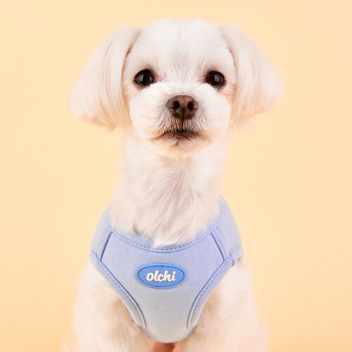 Olchi Macaron Harness