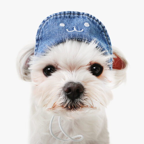 Its dog 洗水牛仔布帽
