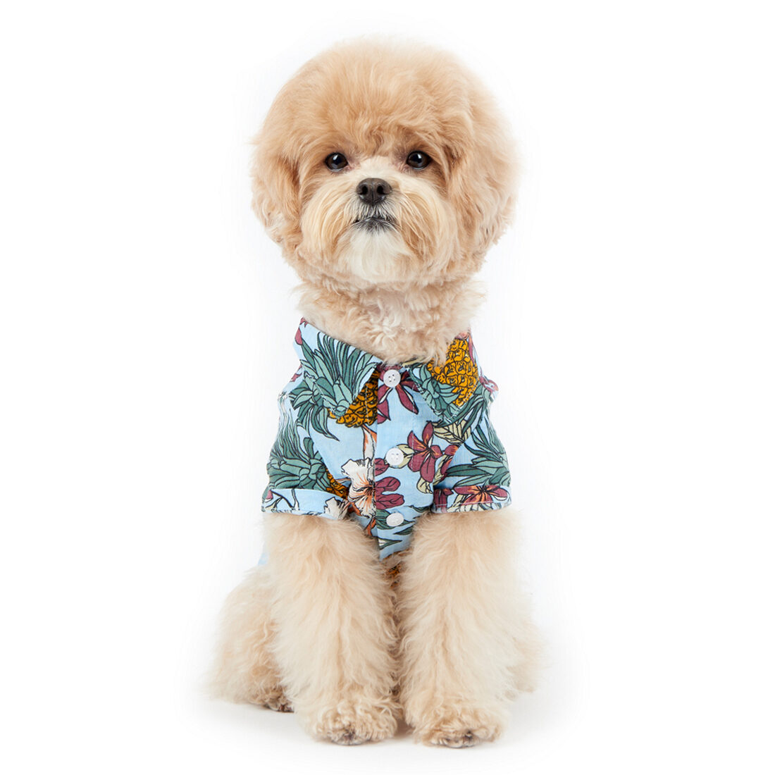 Hawaiian shirt - Sky blue
