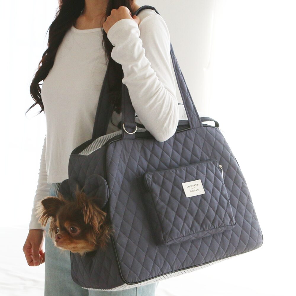 Everyday Carry On Bag