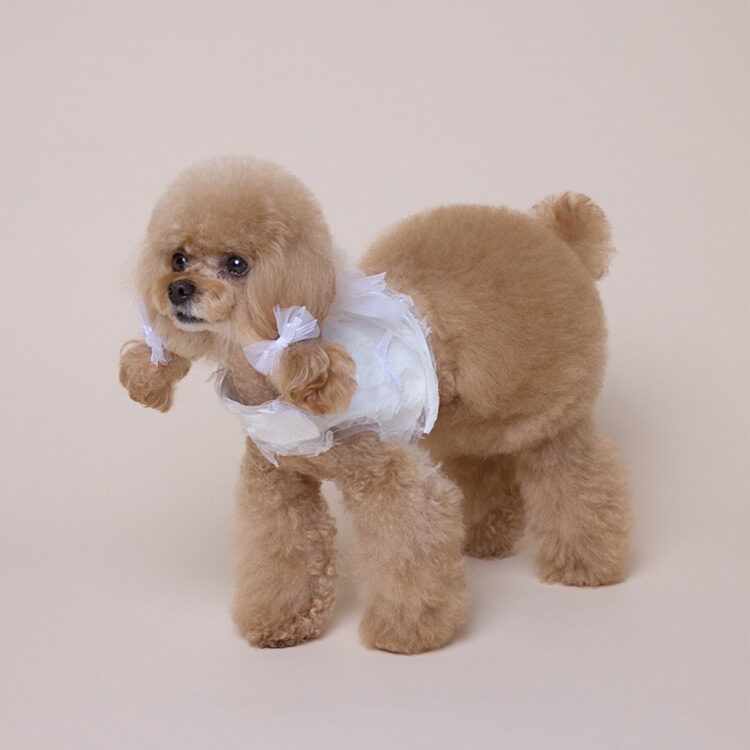 Vintage Ribbon Frill Harness (White)