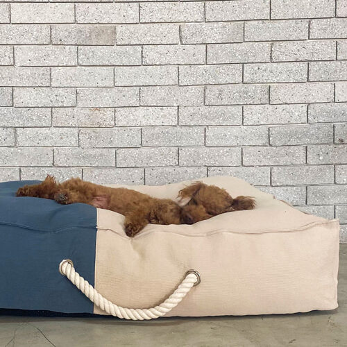 The Standard Cushion