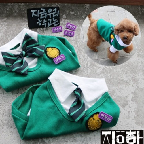 喪屍校園學生服
