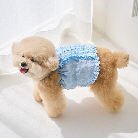 Baby Doll Ops (Blue)