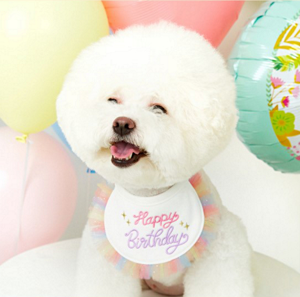 Happy birthday 圍巾
